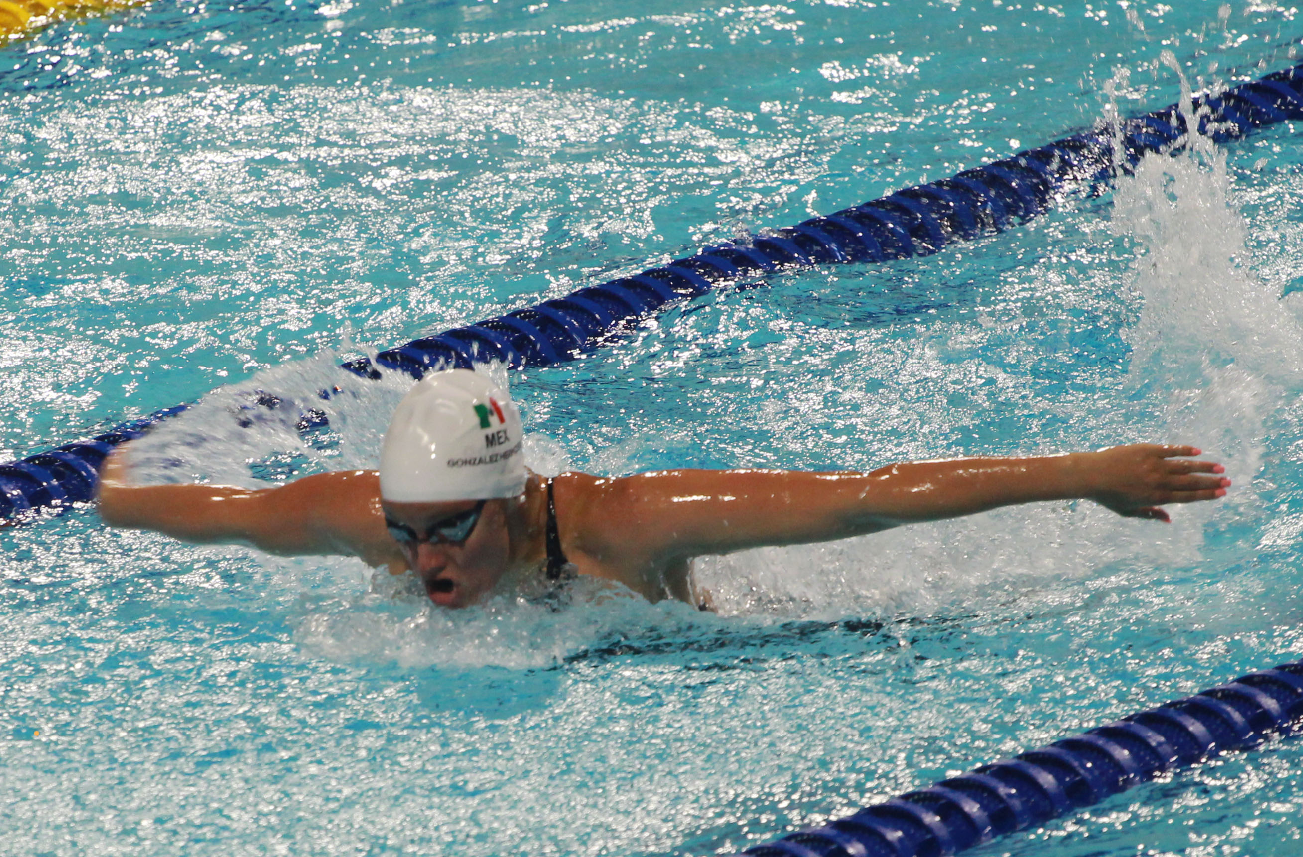 México destaca en natación otra vez