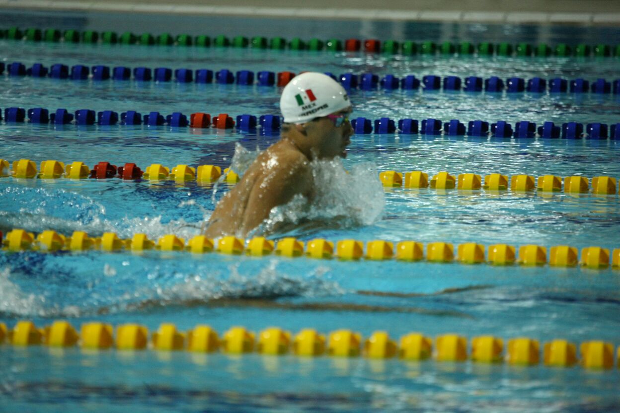 Caen dos de oro en natación